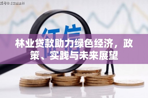 文成林业贷款助力绿色经济，政策、实践与未来展望