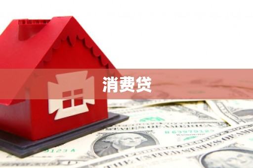 文成消费贷