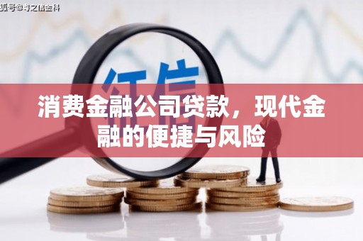 文成消费金融公司贷款，现代金融的便捷与风险
