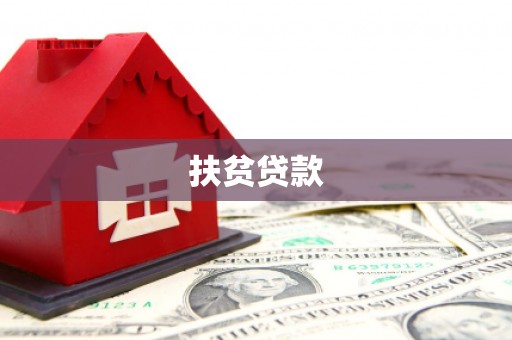 文成扶贫贷款