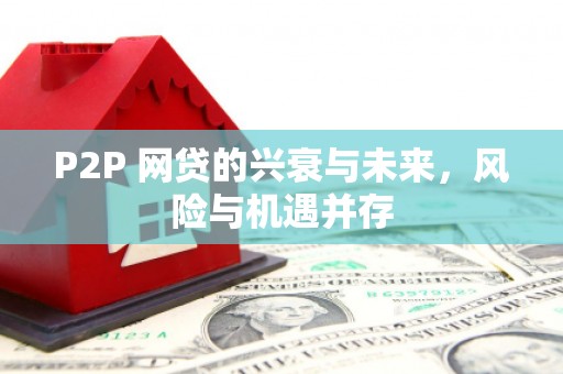 文成P2P 网贷的兴衰与未来，风险与机遇并存