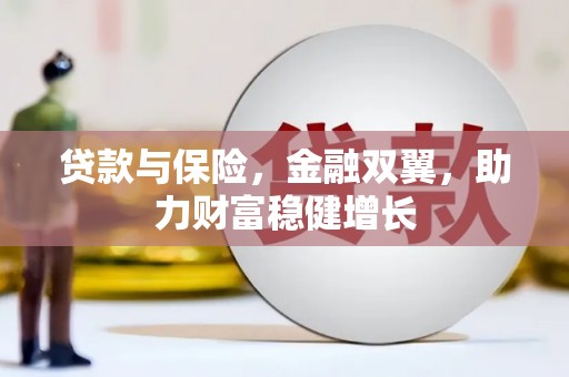 文成贷款与保险，金融双翼，助力财富稳健增长