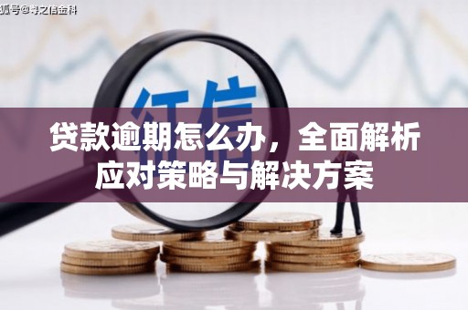 文成贷款逾期怎么办，全面解析应对策略与解决方案