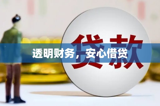 文成透明财务，安心借贷