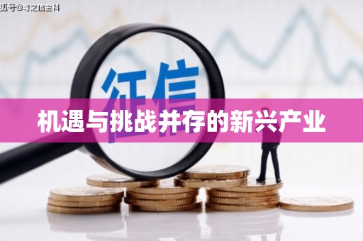 文成机遇与挑战并存的新兴产业