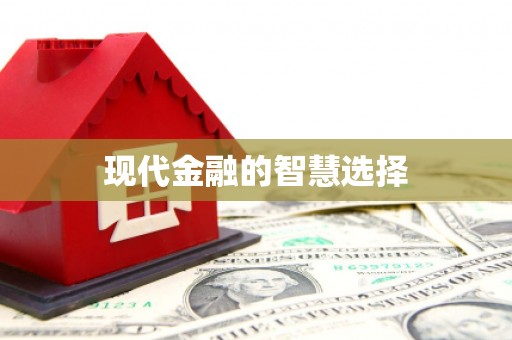 文成现代金融的智慧选择