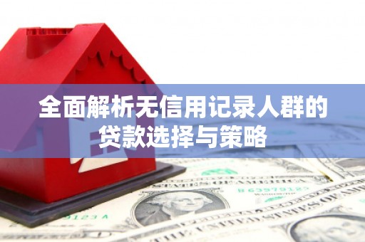 文成全面解析无信用记录人群的贷款选择与策略