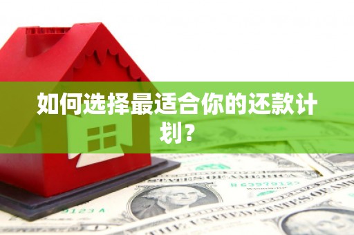 文成如何选择最适合你的还款计划？
