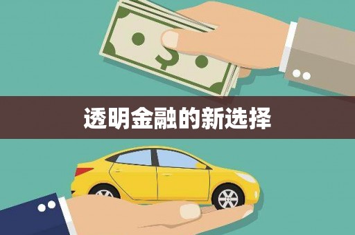 文成透明金融的新选择
