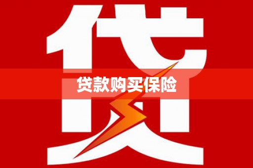 文成贷款购买保险